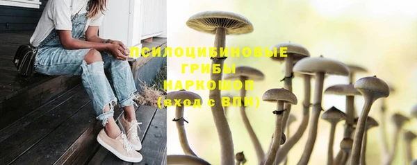амф Коряжма