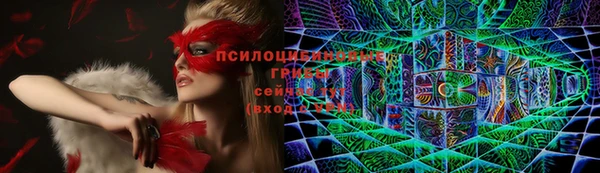 PSILOCYBIN Козловка