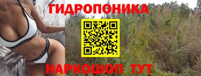 не бодяженный Заводоуковск