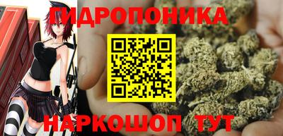 молекула духа Заволжье