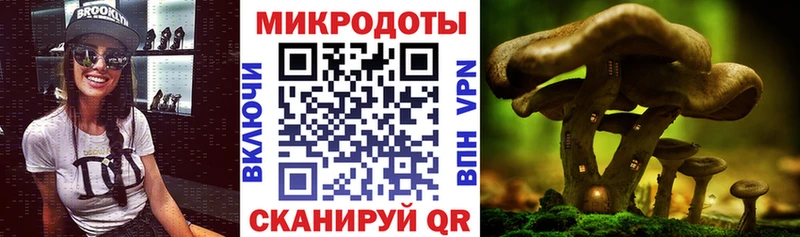 Галлюциногенные грибы Magic Shrooms  закладка  Курчатов 