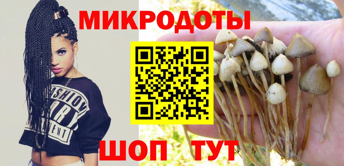 Галлюциногенные грибы прущие грибы  Вход с VPN  где купить   Курчатов  Галлюциногенные грибы GOLDEN TEACHER 
